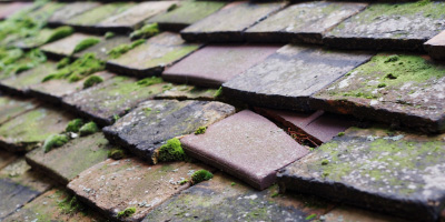 Thurrock roof repair costs